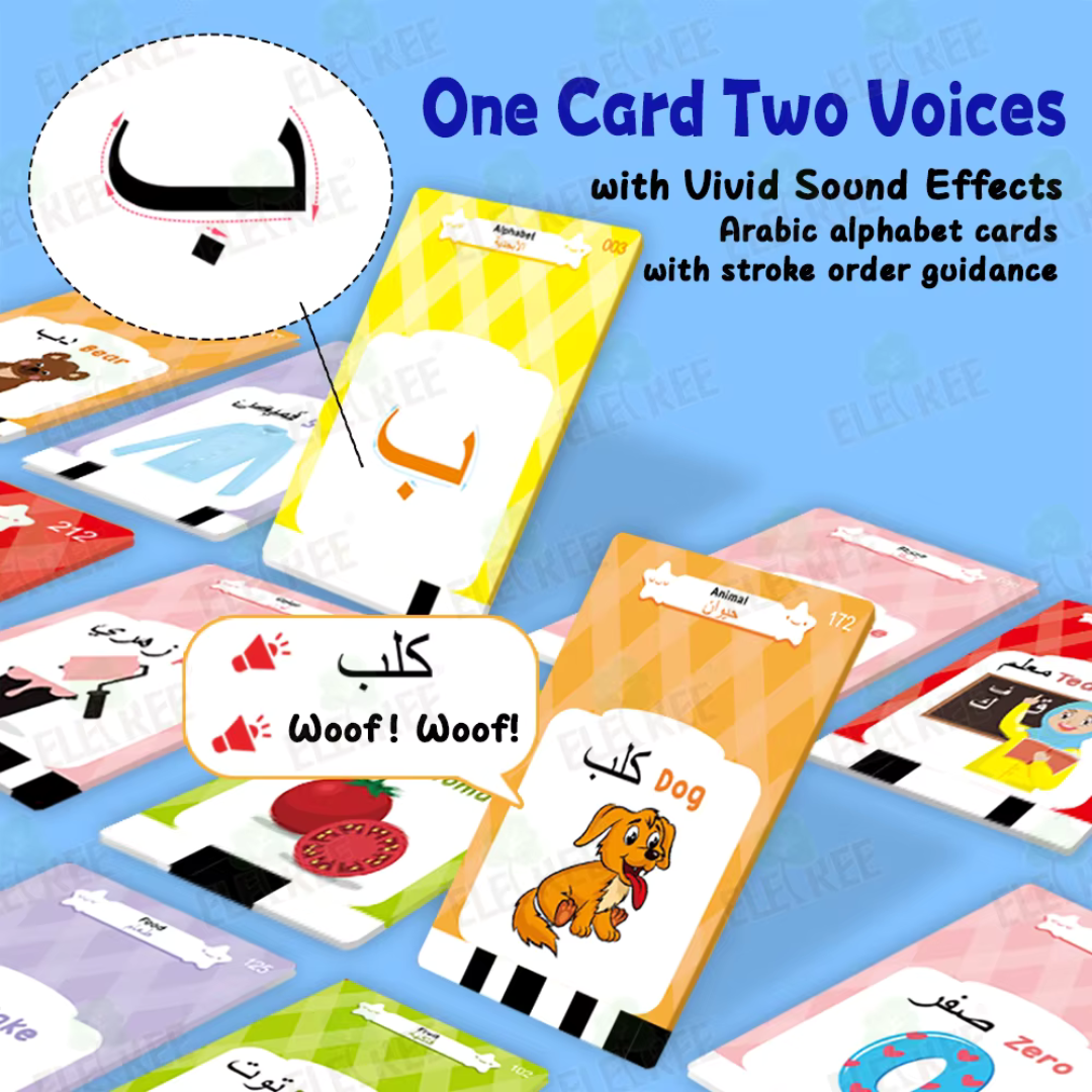 Arabic-English Talking Flash Card
