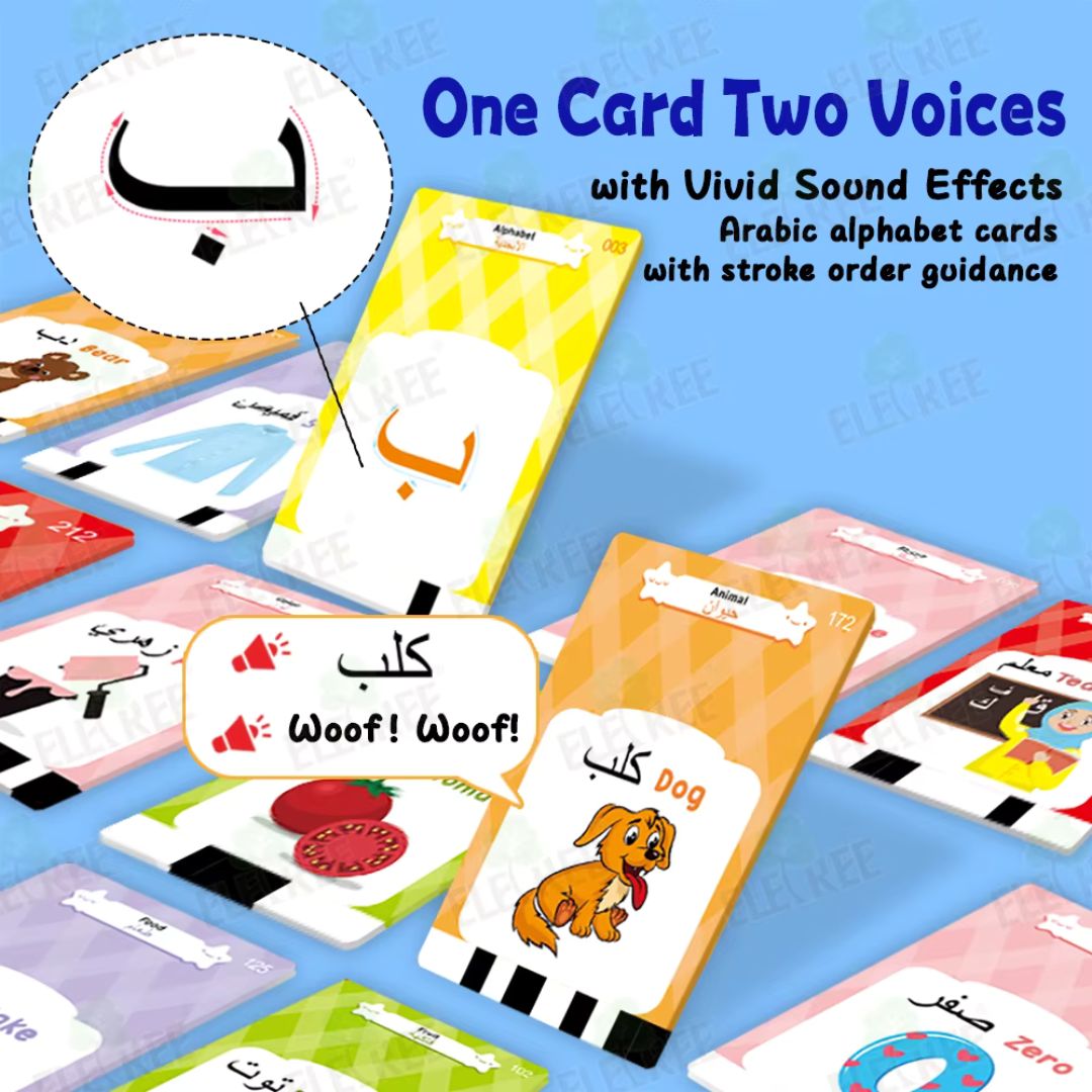 Arabic-English Talking Flash Card